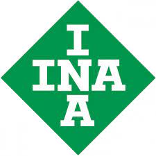 INAA