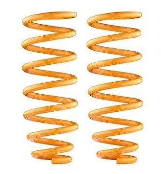 Mitsubishi Pajero Rear Coil Spring MITS039B
