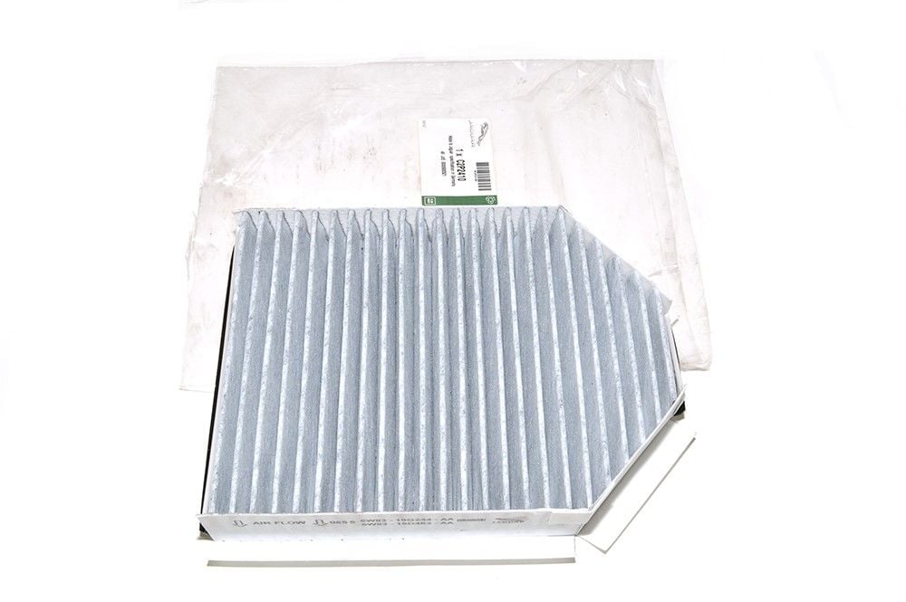 C2P2410 Pollen Filter Original
