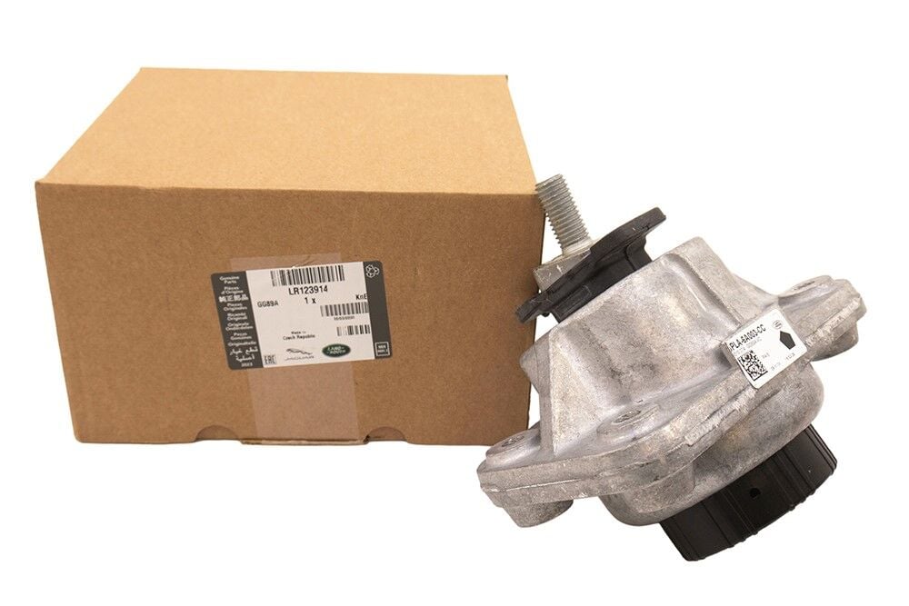 LR123914 LR100608 Motor Kulağı