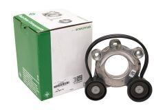 106123472 LR161768 LR134372 T4A45207 Kayış Gergisi INA