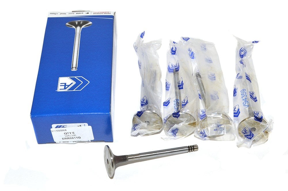 ERR6611 ERR7236 Emme Subabı Td5 AE