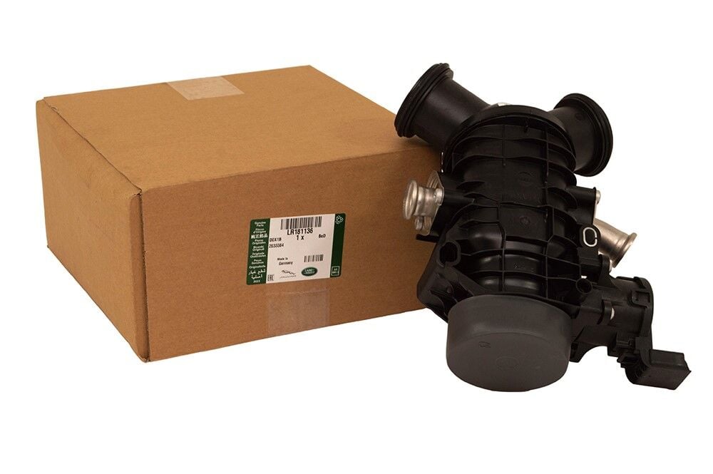 LR181136 LR079230 JDE41568 C2P26029 Boğaz Kelebeği Orijinal