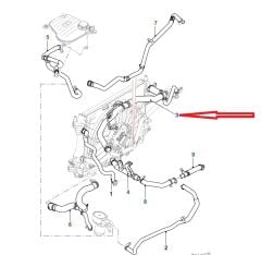 C2D52013 C2D20061 Radiator Top Hose