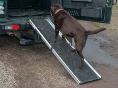 DA1631 Pet Köpek Rampası Land Rover