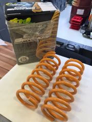Nissan Pathfinder R51 Rear Coil NISS042C
