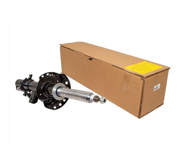 Range Rover Evoque Shock Absorber Rear Left LR079420