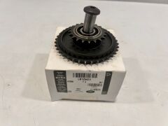 LR125424 T4N32902 Eksantrik Zincir Dişlisi