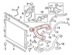 LR094509 Radiator Hose Upper Range Rover Evoque Discovery Sport
