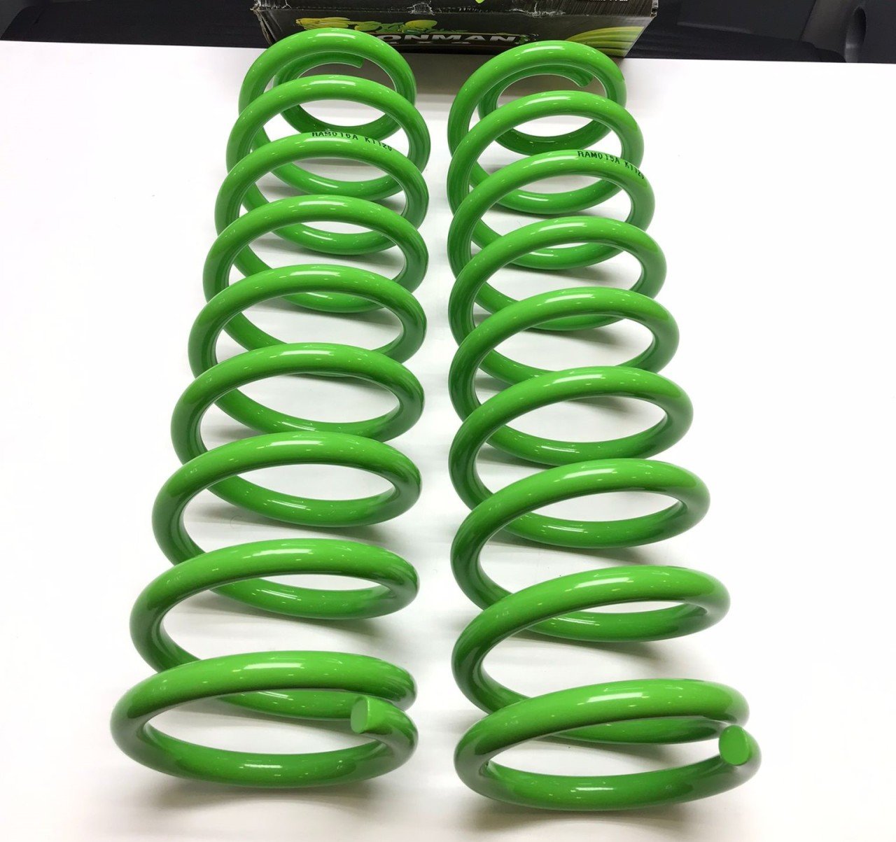 Dodge Ram 1500 Light Duty Rear Coil Spring RAM016A