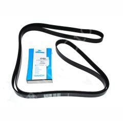Sport V-Belt LR012625