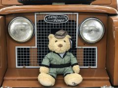 HUE 166 'HUEY' Teddy Bear LGTY618BNA