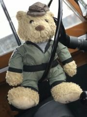HUE 166 'HUEY' Teddy Bear LGTY618BNA