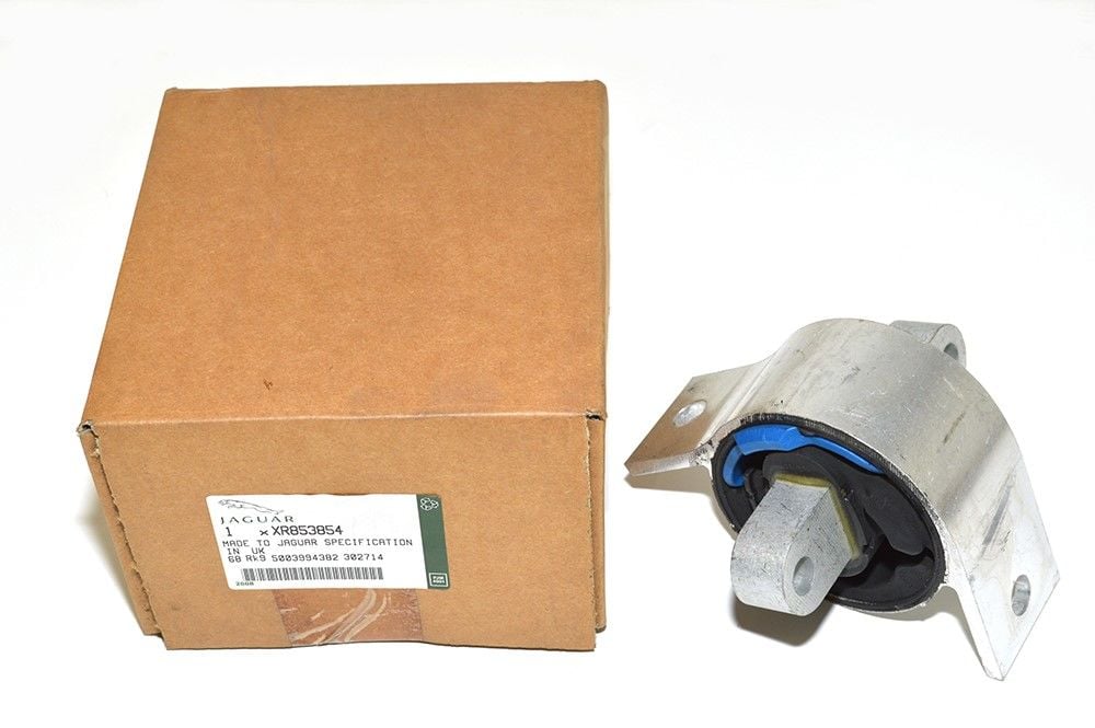 XR853854 Gearbox Ear Plug Original