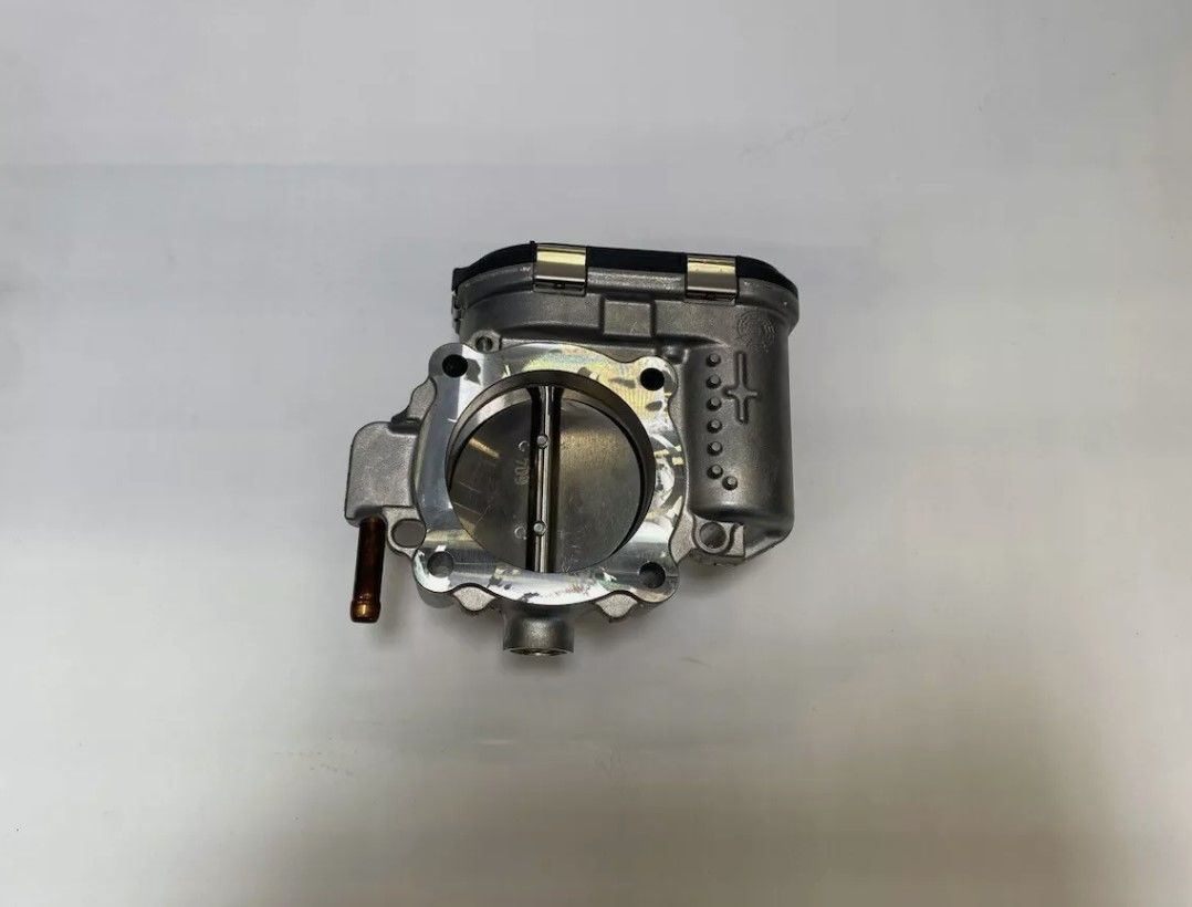 LR109395 JDE39713 Boğaz Kelebeği