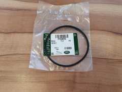 FTC4919 Arka Aks Poyra O-Ring Orijinal Discovery 2