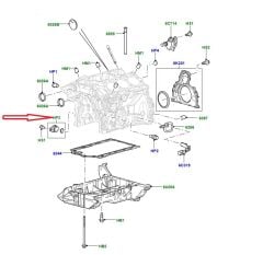 1316062 C2S31321 Motor Blok Tapası