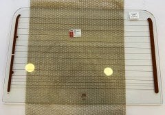 Defender 5th Door Heated Glass 5 mm MTC8951-LD