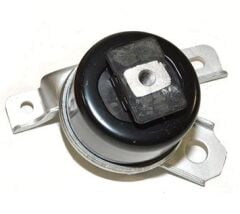 LR024730 J9C5816 Motor Kulağı Febi