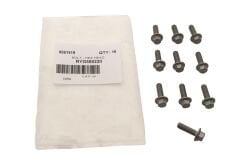 RYG500220 C2Z1859 Civata Hexagonal Head M6X20 *10