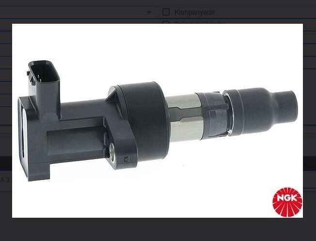 C2S42673 C2S11480 Buji Bobin Lucas