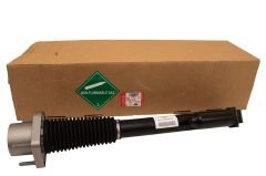 Arka Amortisör Sağ LR098788
