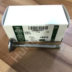 Intake Valve LR069031