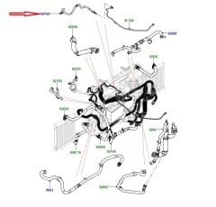 LR110245 Radyatör Hortumu Range Rover